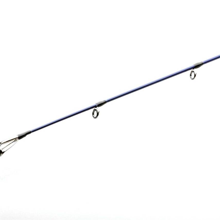 Bauer Risco 290cm 30-70gr Shore Jigging Olta Kamışı - 3