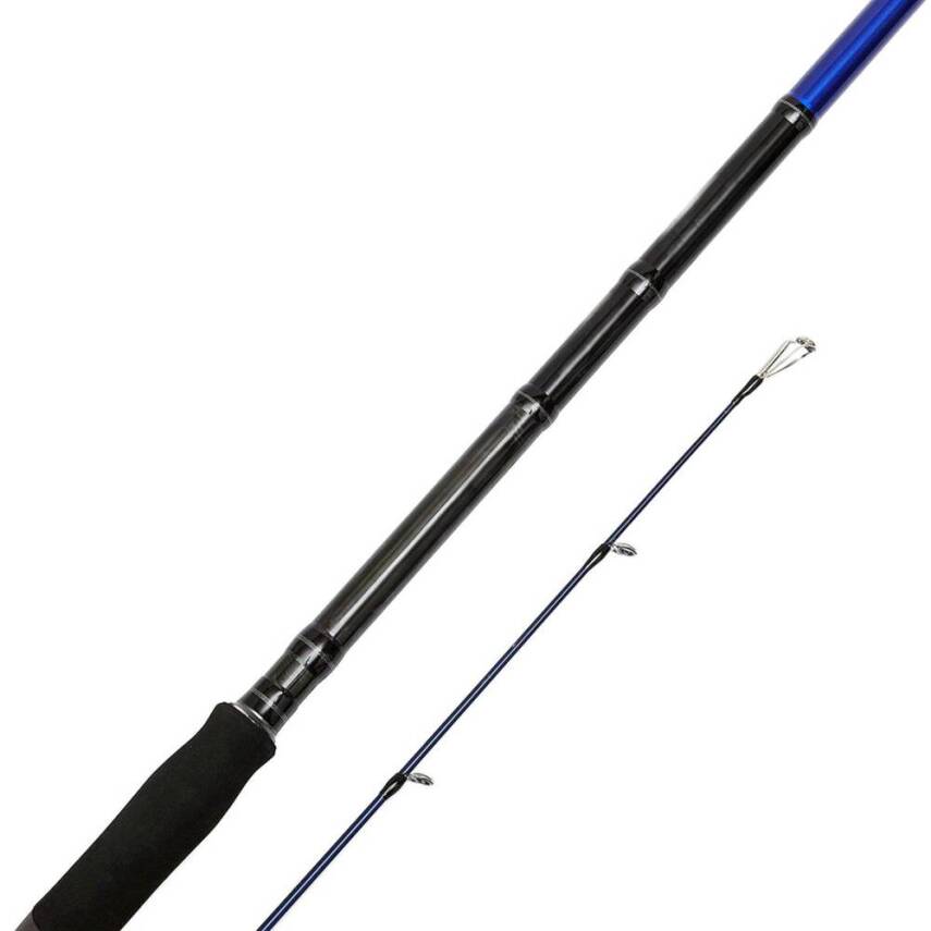 Bauer Risco 290cm 30-70gr Shore Jigging Olta Kamışı - 2