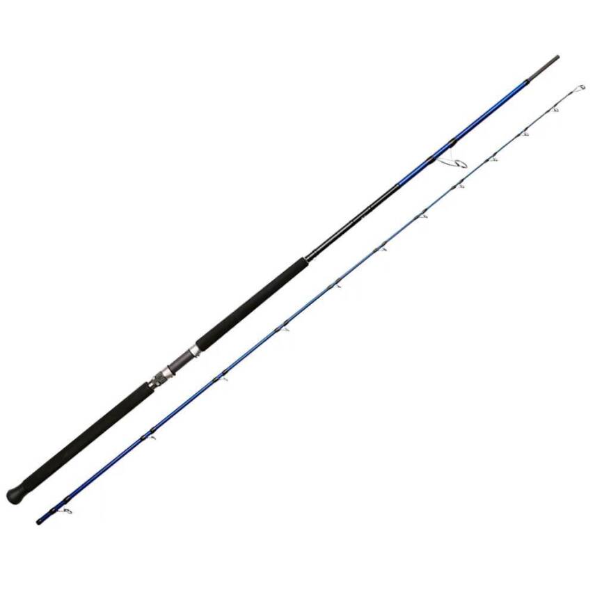 Bauer Risco 305cm 30-100gr Shore Jigging Olta Kamışı - 1