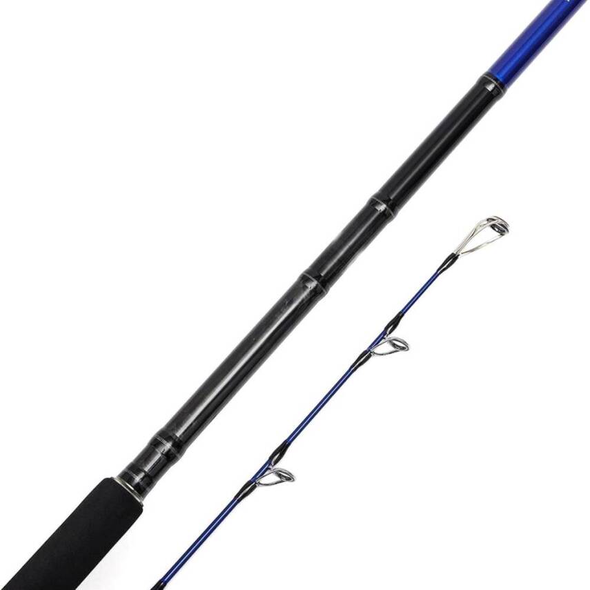 Bauer Risco 305cm 30-100gr Shore Jigging Olta Kamışı - 2