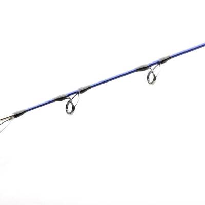 Bauer Risco 305cm 30-100gr Shore Jigging Olta Kamışı - 4